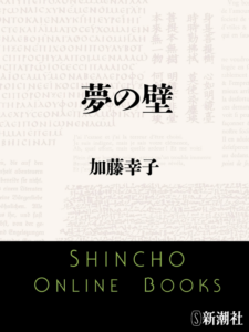夢の壁