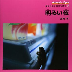 明るい夜に出かけて